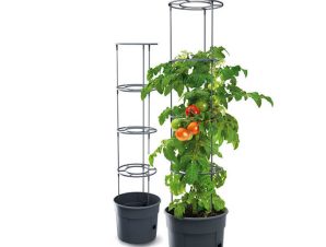 Γλάστρα Αναρριχώμενων Φυτών (Φ29.5×23.6-115.2) Marhome Tomato Grower 09-IPOM300-S433